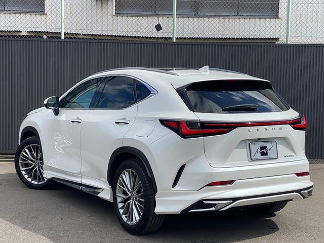 Lexus NX 2023
