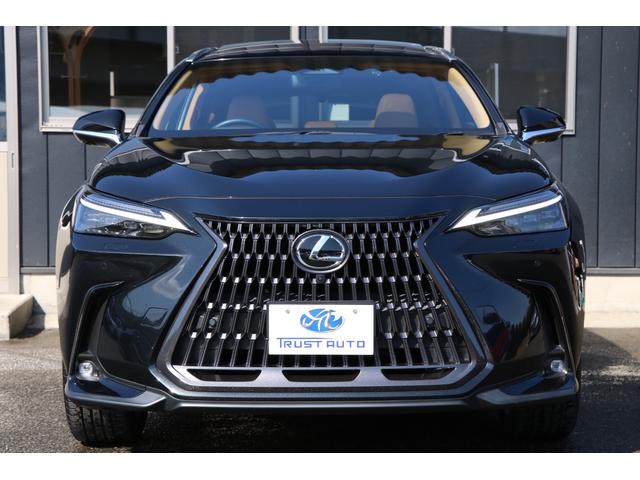 Lexus NX 2023