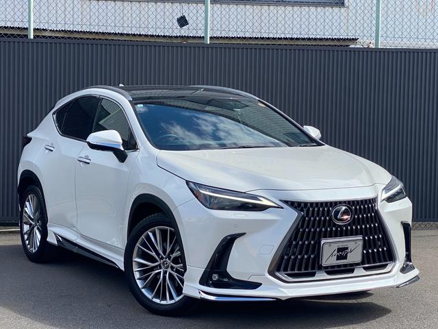 Lexus NX 2023