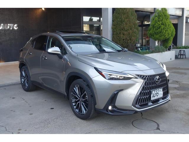Lexus NX 2023
