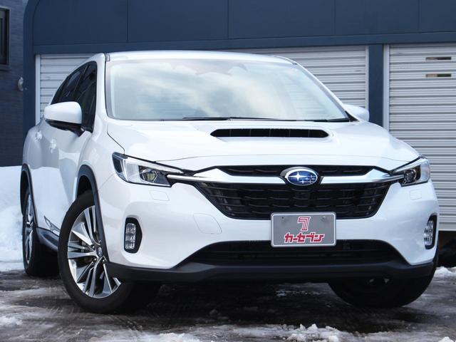 Subaru LEVORG LAYBACK 2024