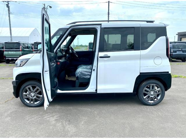 Mitsubishi DELICA MINI 2024
