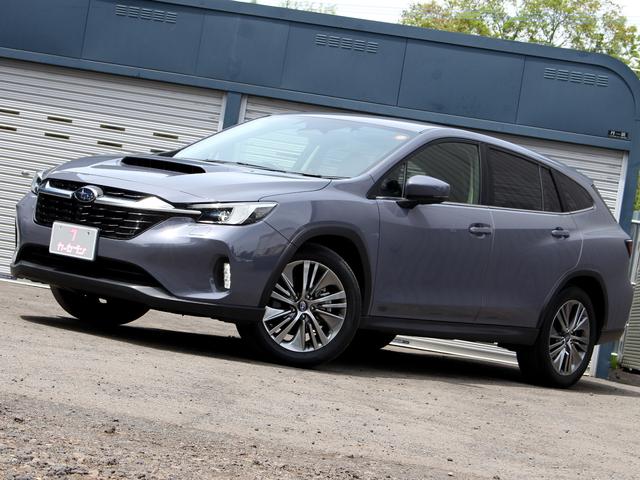 Subaru LEVORG LAYBACK 2023