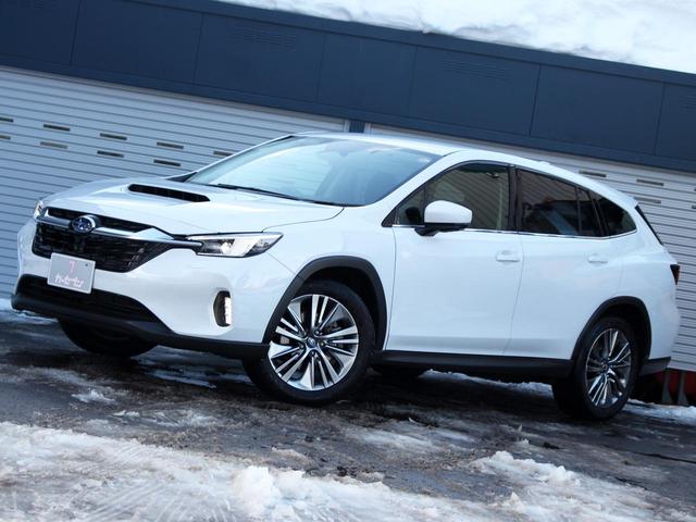 Subaru LEVORG LAYBACK 2024