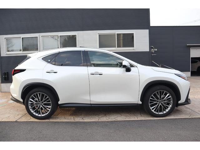 Lexus NX 2023