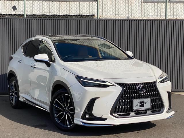 Lexus NX 2023
