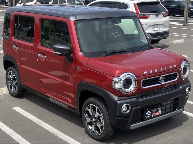 Suzuki HUSTLER 2026