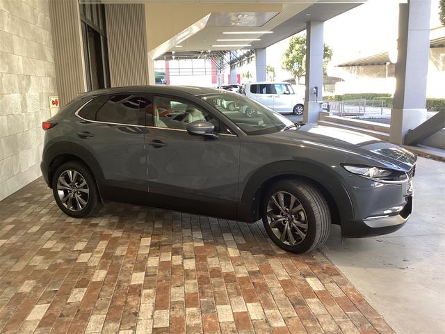 Mazda CX-30 2019