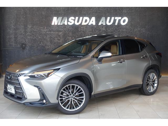 Lexus NX 2021