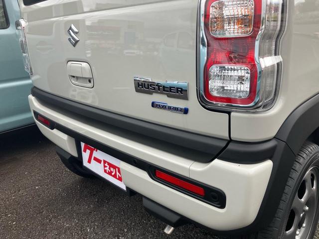 Suzuki HUSTLER 2025