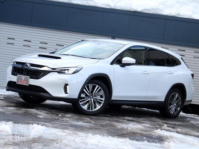 Subaru LEVORG LAYBACK 2024