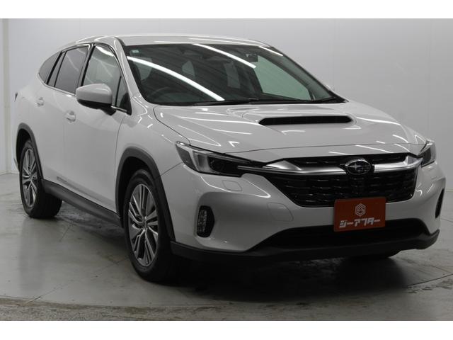 Subaru LEVORG LAYBACK 2024