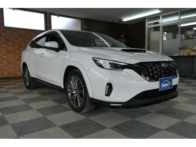 Subaru LEVORG LAYBACK 2023