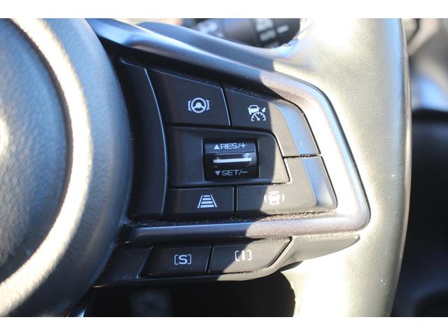 Subaru LEVORG LAYBACK 2024