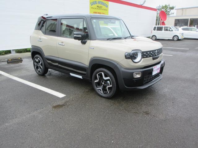 Suzuki XBEE 2025