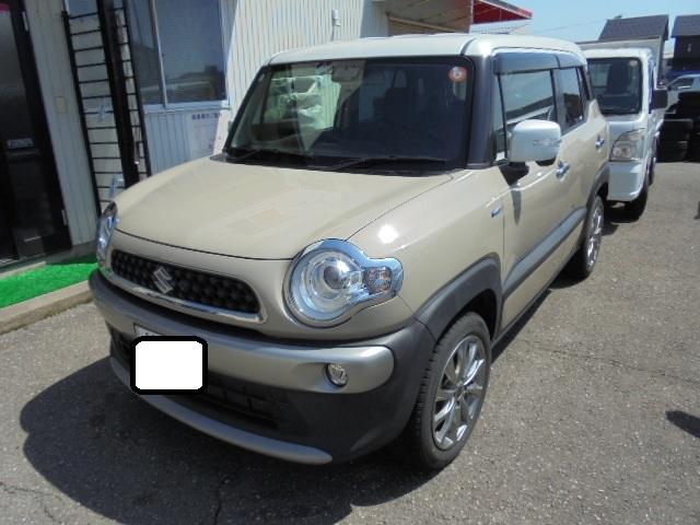 Suzuki XBEE 2018
