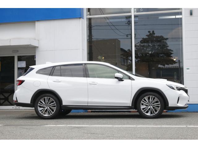 Subaru LEVORG LAYBACK 2024