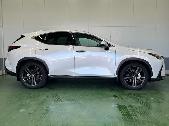 Lexus NX 2023