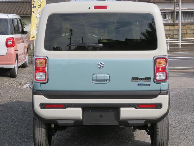Suzuki HUSTLER 2025