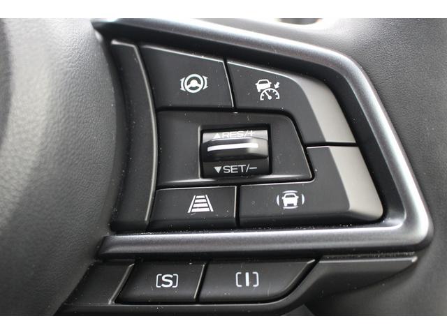 Subaru LEVORG LAYBACK 2024