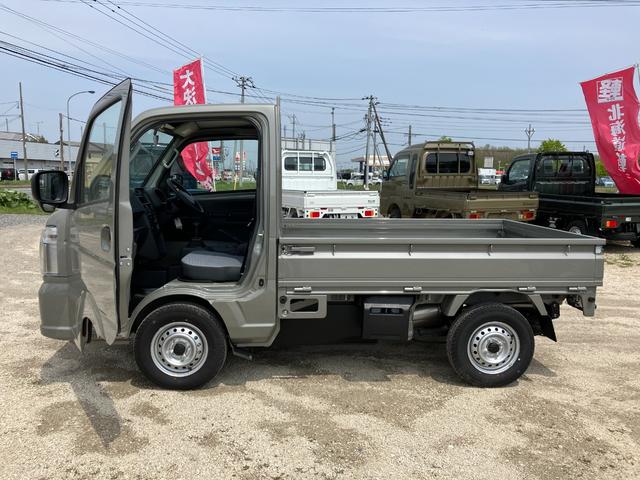 Suzuki CARRY TRUCK 2024