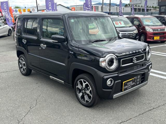 Suzuki HUSTLER 2026