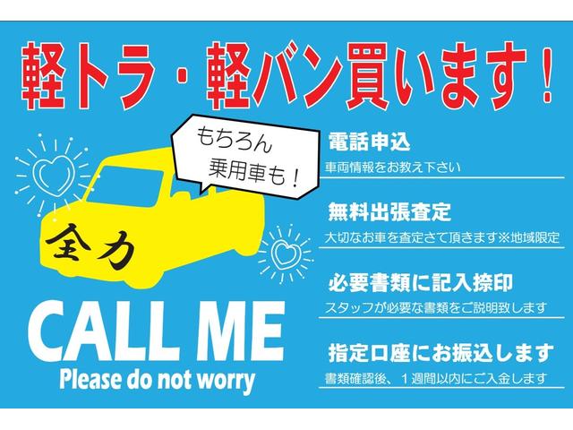 Nissan CLIPPER TRUCK 2009