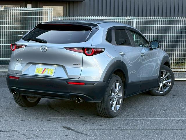 Mazda CX-30 2019