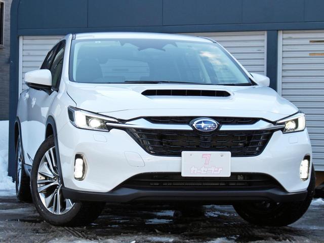 Subaru LEVORG LAYBACK 2024