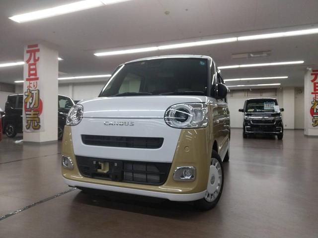 Daihatsu MOVE CANBUS 2024