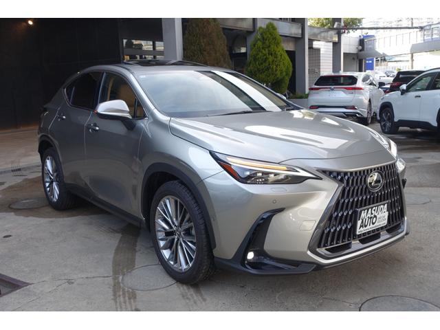 Lexus NX 2021