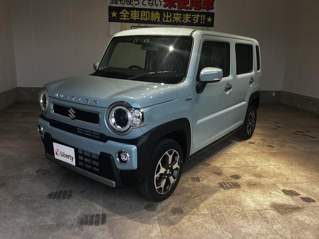 Suzuki HUSTLER 2025