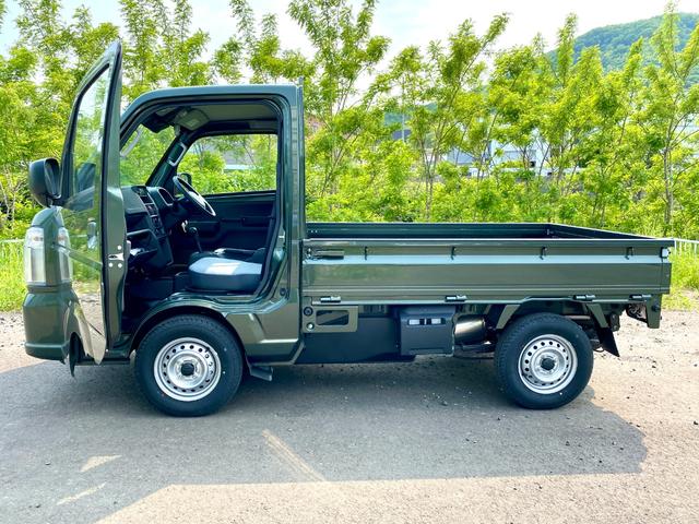 Suzuki CARRY TRUCK 2025
