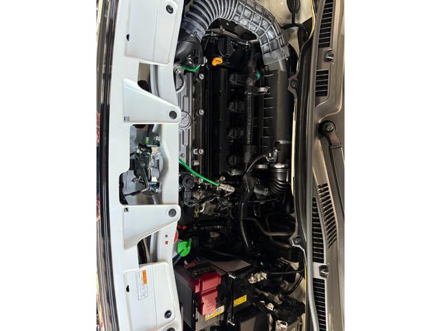 Suzuki SOLIO BANDIT 2024