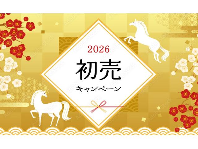 Mitsubishi EK CUSTOM 2017